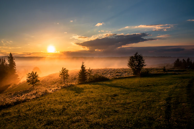 Circadian Rhythm Reset Protocol